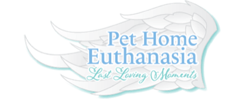 In Home Pet Euthanasia | Phoenix, Scottsdale, Peoria, Chandler