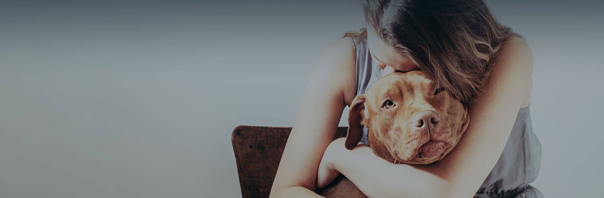 woman hugging her brown pitbull dog