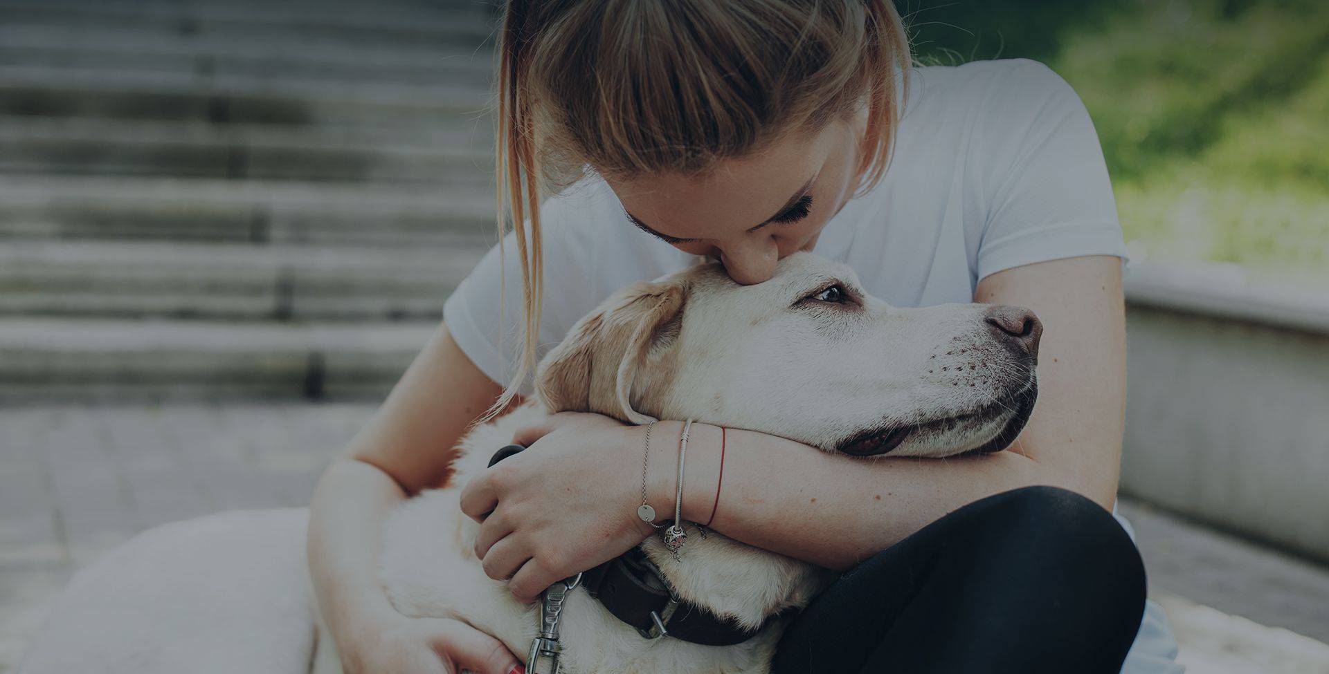 woman kissing her labrador dog