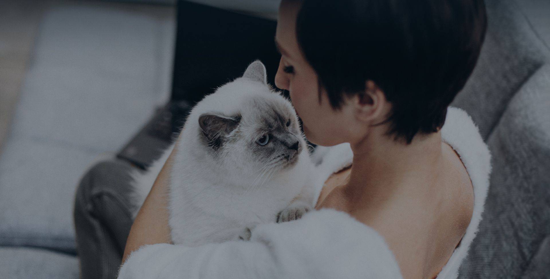 young woman with shorthair with her cat on her lap