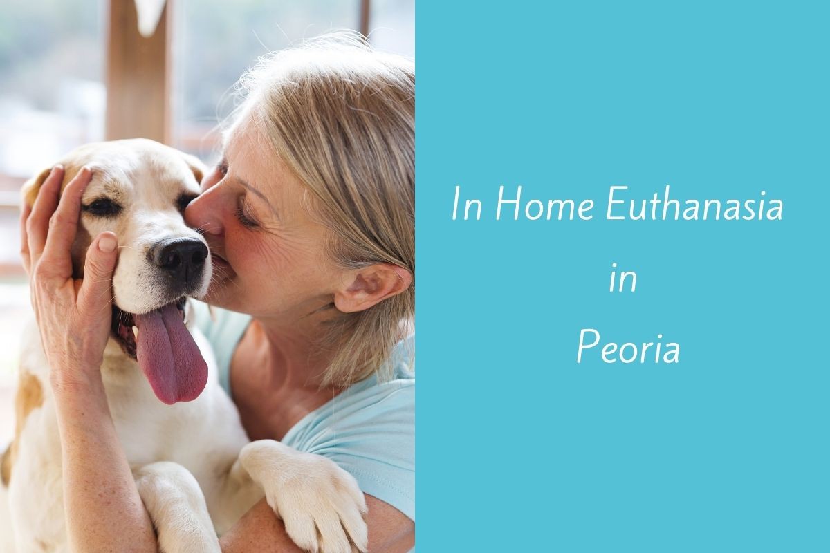 In-Home-Euthanasia-in-Peoria