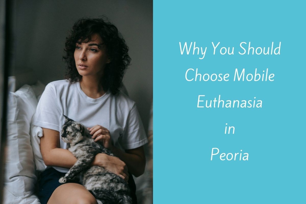 Why-You-Should-Choose-Mobile-Euthanasia-in-Peoria