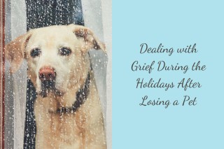 Dealing-with-Grief-During-the-Holidays-After-Losing-a-Pet