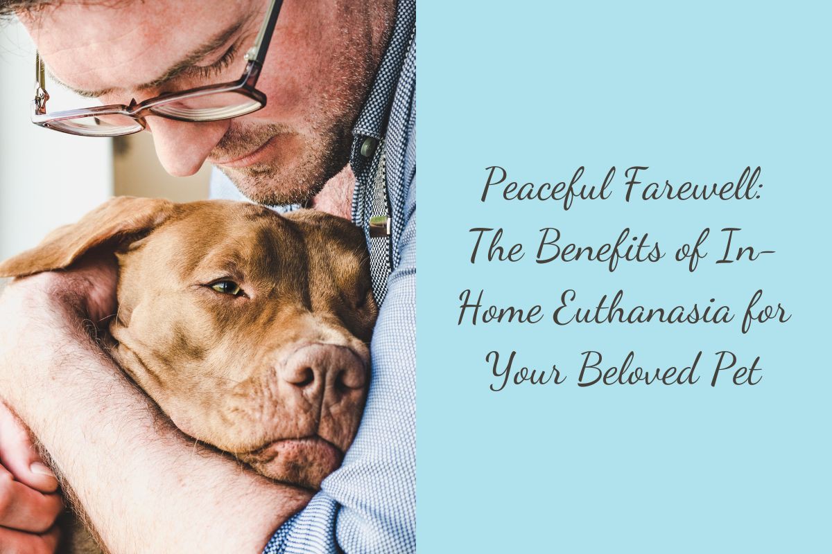 Peaceful-Farewell-The-Benefits-of-In-Home-Euthanasia-for-Your-Beloved-Pet-1