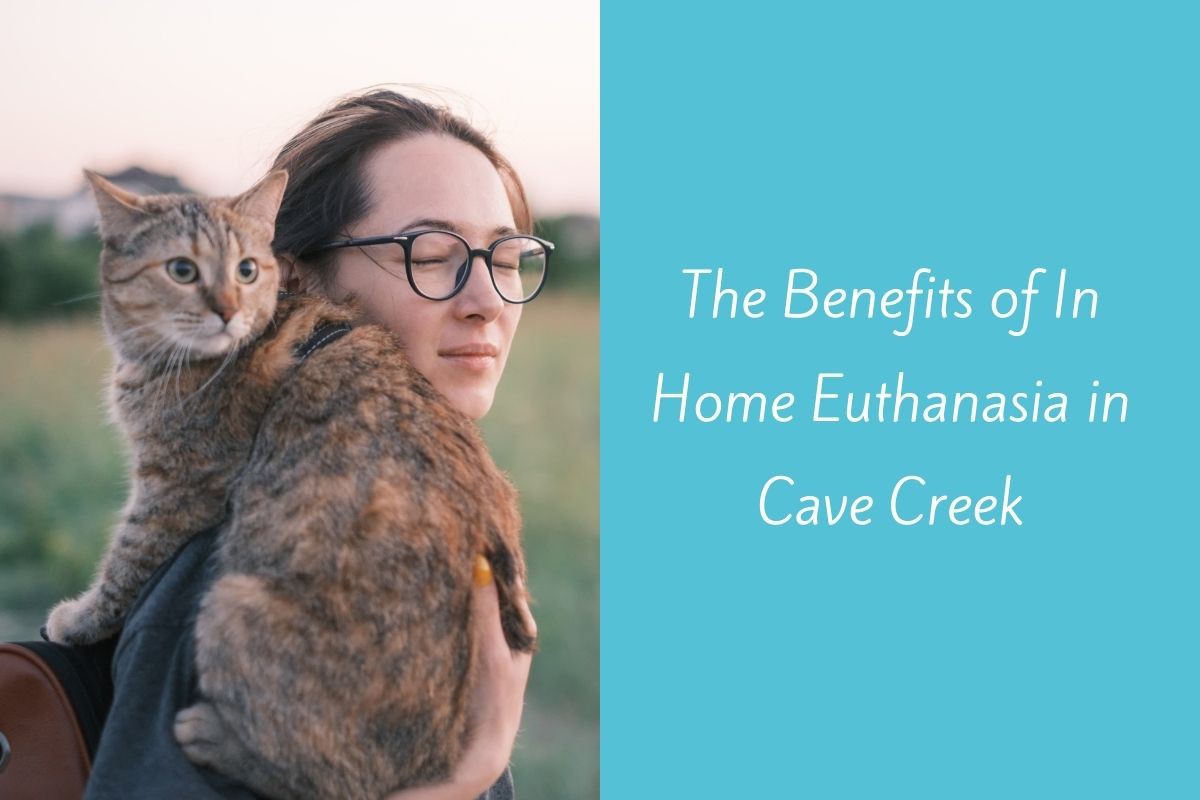 The-Benefits-of-In-Home-Euthanasia-in-Cave-Creek