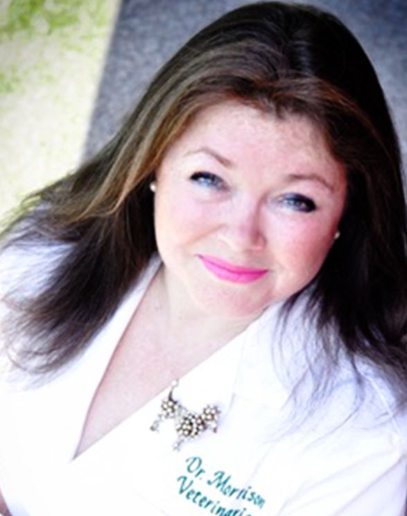 Dr. Michelle Morrison