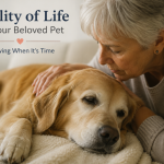 Pet Home Euthanasia in Phoenix