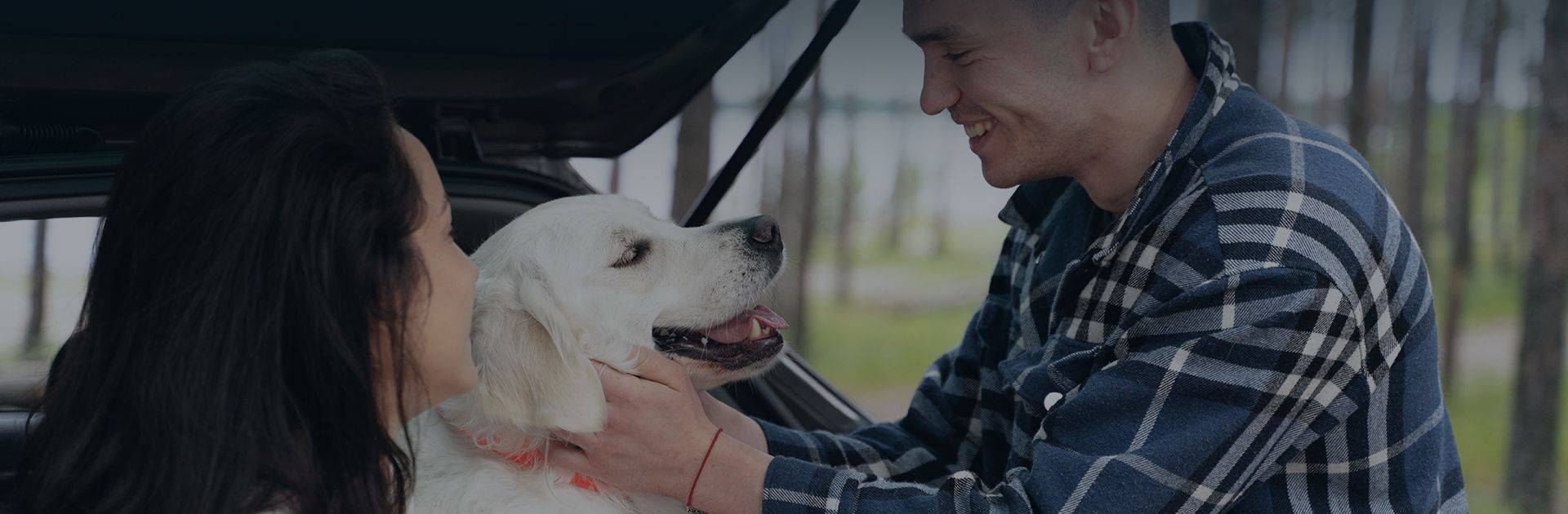 people petting dog medium shot