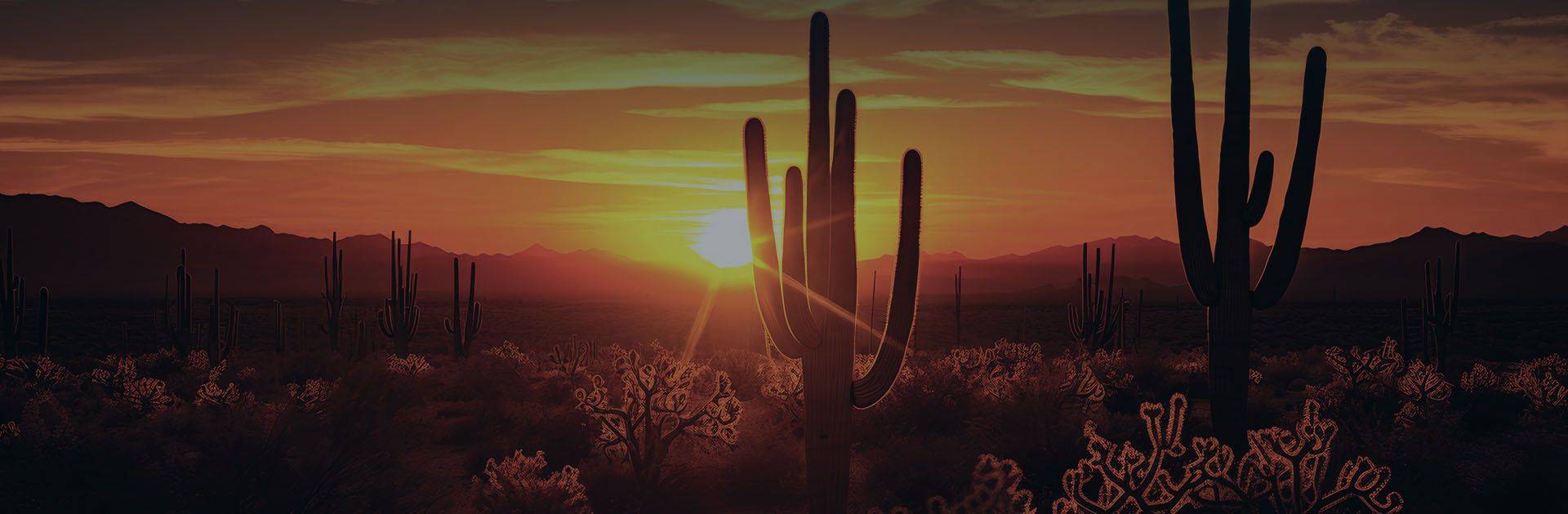 desert landscape sunset
